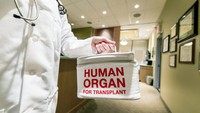 Robert Boyle ramal transplantasi organ tahun 1660an: Hampir 300 tahun sebelum transplantasi organ besar pertama pada tahun 1954, Robert Boyle, yang dikenal sebagai bapak kimia modern, meramalkan dalam sebuah catatan di jurnal pribadinya soal “penyembuhan penyakit dengan… transplantasi.” Para ahli juga memuji Boyle atas pandangan ke depan tentang LSD, aspirin, dan obat tidur. (Foto: AP/Andy Clayton-King)
