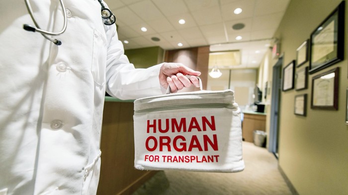 donor organ untuk transplantasi