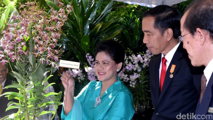 Penampakan Anggrek Iriana Jokowi yang Diresmikan di Singapura
