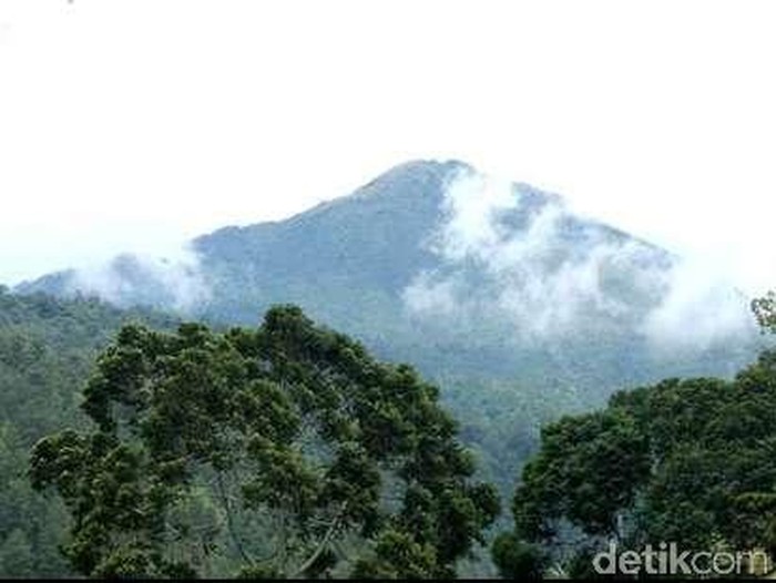 Kebakaran di Gunung Lawu Diduga karena Ilalang Tepercik Api Para Pencari Tawon
