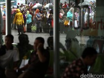 Banyak Honorer Diberhentikan, Ini Respons KemenPAN-RB