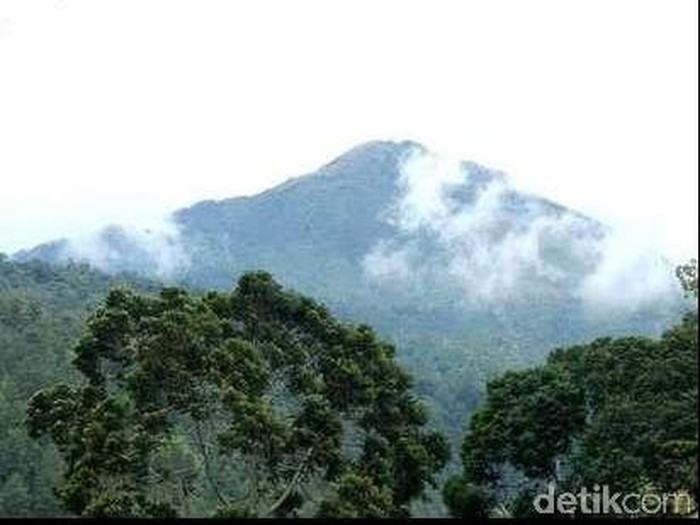 Tim SAR Evakuasi Warga Malaysia yang Sakit Saat Mendaki Gunung Leuser Aceh