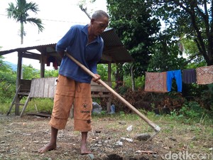 Kesederhanaan Zainal, Penyandang Disabilitas Lulusan PTN yang Jadi Petani