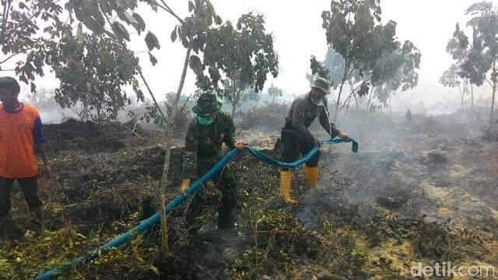 Kebakaran Ribuan Hektare Hutan di Sumsel, Kardomo dan Ali Dibui 1 Tahun