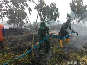 Kebakaran Ribuan Hektare Hutan di Sumsel, Kardomo dan Ali Dibui 1 Tahun