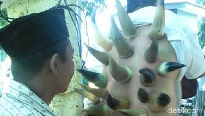 Terapi Bekam Tanduk Sapi di Arena Muktamar NU Laris Manis