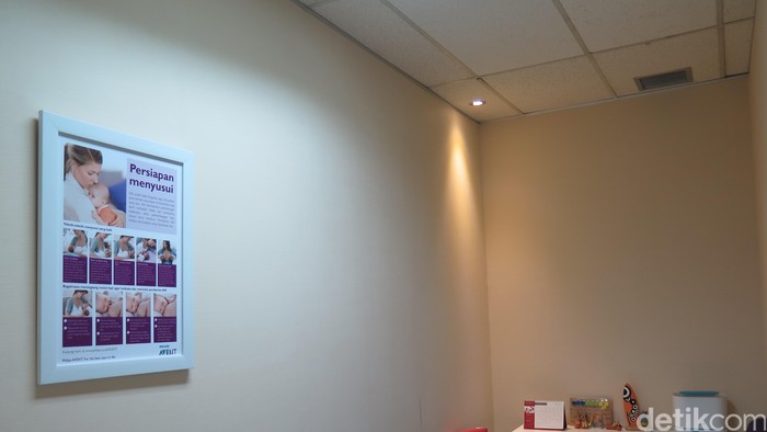 Tak Ada Ruang Laktasi di Kantor, ASI Terpaksa Diperah di Toilet dan Musala