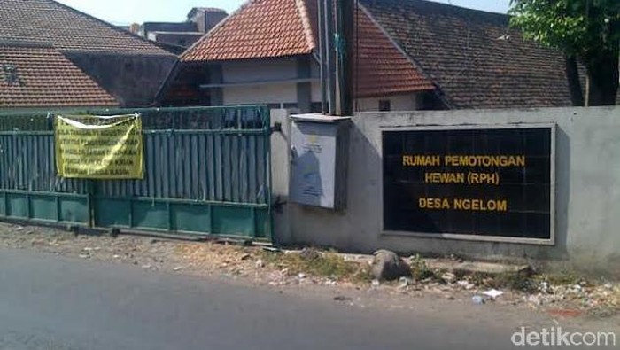 Akan Sembelih Sapi Ilegal, RPH Ngelom Digerebek