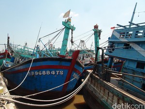 Daripada Maling Ikan, China Diminta Bangun Pabrik Pengolahan di RI