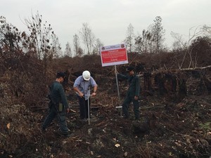 Penyidik KLHK Segel Lokasi Kebakaran Lahan di Pekanbaru