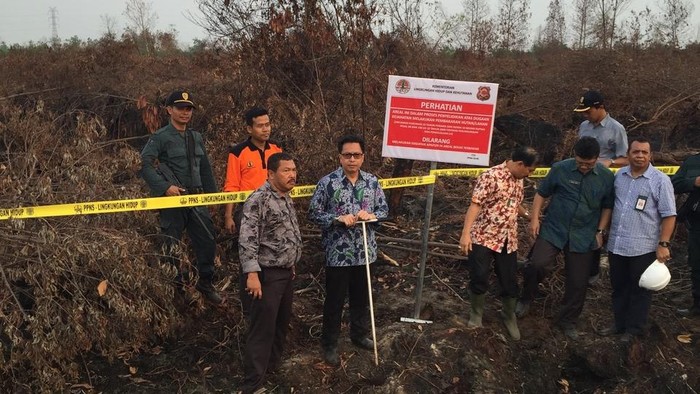 Polisi Hutan Bersenjata Segel Lahan yang Diduga Sengaja Dibakar di Riau