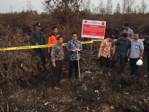 Polisi Hutan Bersenjata Segel Lahan yang Diduga Sengaja Dibakar di Riau