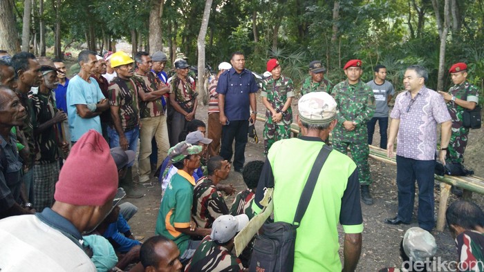Dulu Milisi, Kini Mereka Berladang Pohon Kelor