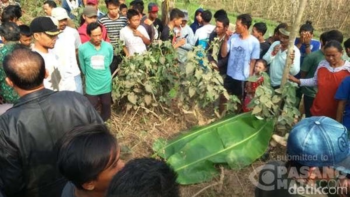 Tanpa Identitas, Ini Ciri-ciri Mayat Wanita Misterius di Karawang