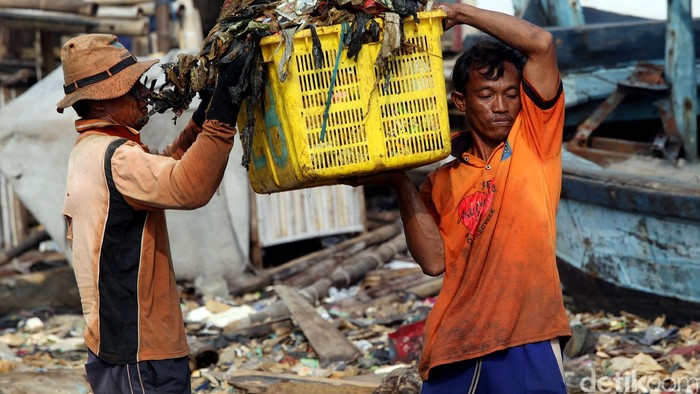 Sejumlah petugas Dinas Kebersihan Provinsi DKI Jakarta dengan menggunakan perahu, membersihkan limbah sampah yang berada dipinggir laut di kawasan Dermaga Muara Angke, Jakarta.
Kawasan Muara Angke selama ini terkenal dengan kawasan kumuh yang dipenuhi oleh limbah sampah.
Daerah Muara Angke, Kelurahan Pluit, Kecamatan Penjaringan kini dalam kondisi memprihatinkan. Dikawasan ini dipenuhi limbah sampah dari pengolahan hasil perikanan tradisional (PHPT) Pelabuhan Muara Angke. rengga/detikfoto