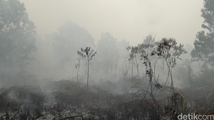 350 Hektar Lahan Gambut di Kubu Raya Terbakar, Sebaran Hotspot Meluas