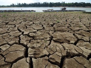 110 Ribu Hektar Sawah di Jabar Terancam Puso, Pemprov Ajukan Hujan Buatan