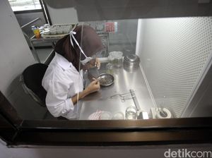 Kultur Jaringan: Pengertian, Tahapan serta Kelebihan dan Kekurangan