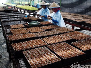 Apa Saja Contoh Produk Bioteknologi Modern di Berbagai Bidang? Cek di Sini