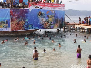 Serunya Perayaan HUT RI di Ambon, Ada Lomba Tangkap Bebek di Laut