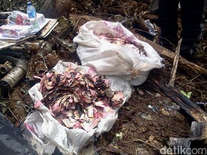 BI akan Ganti Uang Ratusan Juta Rupiah yang Rusak di Trigana Air