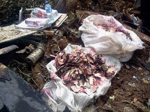 Sedang Dicek, Ini Penampakan Sisa Duit Rp 6,5 M di Pesawat Trigana Air