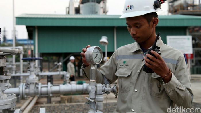 Foto: Agung Pambudhy Foto: Agung Pambudhy