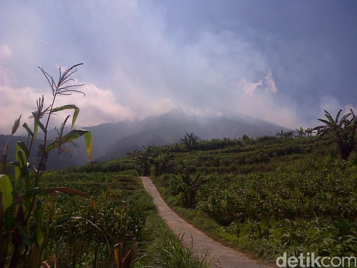 Penampakan Asap Selimuti Merbabu saat Lereng Terbakar Hebat