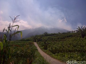 Penampakan Asap Selimuti Merbabu saat Lereng Terbakar Hebat
