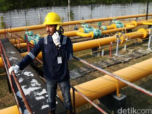 Harga Gas Industri Pupuk dan Petrokimia Jadi Prioritas untuk Dipangkas