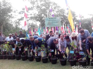 Upaya Ekstra untuk Lestarikan Kapur Barus di Tapanuli Tengah