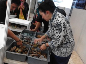 Hobi Akik, Titiek Soeharto Beli Bacan Rp 7,5 Juta di Pameran DPR
