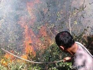 BNPB: Kebakaran Hutan Gunung Lawu karena Api Unggun, 6 Orang Tewas