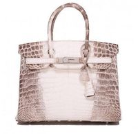 tas hermes birkin himalaya