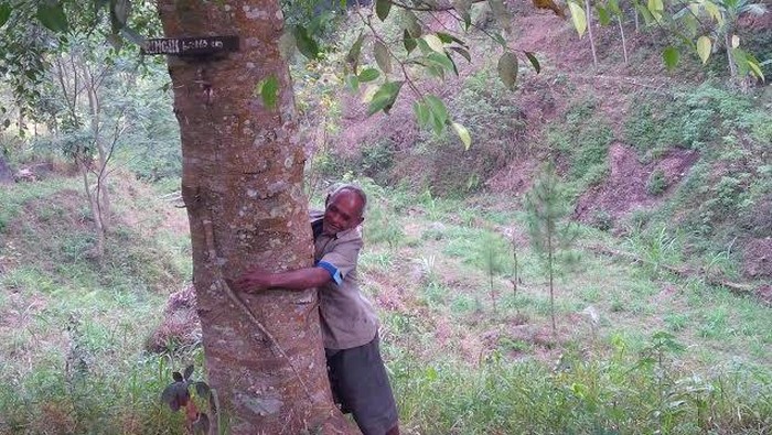 Negara Puji Aksi Mbah Sadiman yang Hijaukan Bukit Gendol