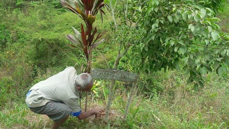 Kisah Hebat Mbah Sadiman, Pahlawan Penghijauan dari Wonogiri Kisah Hebat Mbah Sadiman, Pahlawan Penghijauan dari Wonogiri
