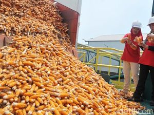 Kemendag: Impor Jagung untuk Industri, Bukan Pakan Ternak