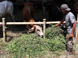 Pemkot Bandung Larang Pedagang Hewan Kurban Berjualan di Trotoar dan Taman