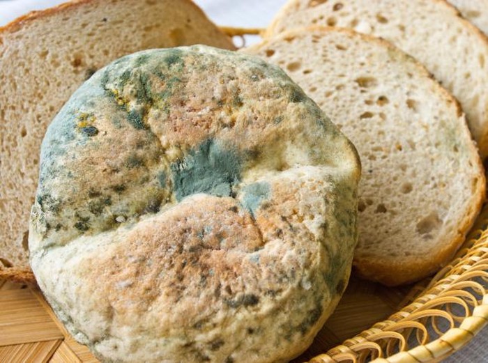 Waspada, Jamur dari Makanan Ternyata Juga Bisa Masuk ke Paru-paru