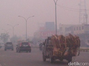 Siang di Pekanbaru Bagai Malam karena Asap, Begini Penampakannya