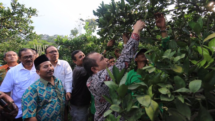 Desa Bergerak Menuju Swasembada Pangan