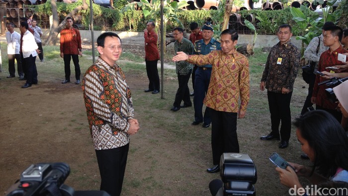 Jokowi-Ahok Blusukan di Cilincing, Warga Teriak-teriak Gembira