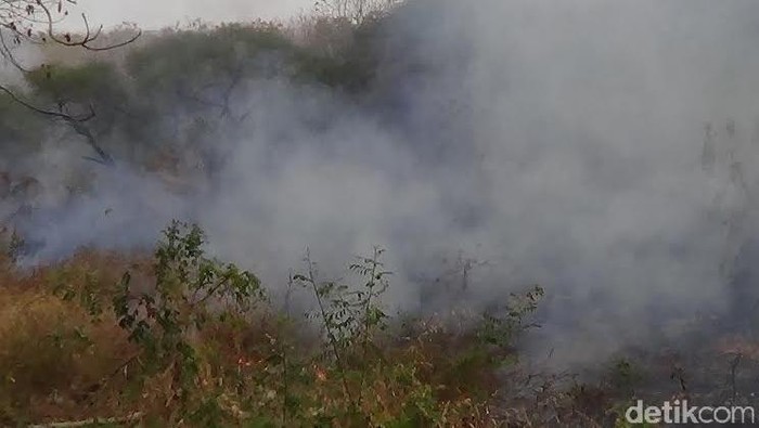 Dekan Ekologi IPB: Masalah Asap Makin Serius Pemerintah Harus Cepat Atasi