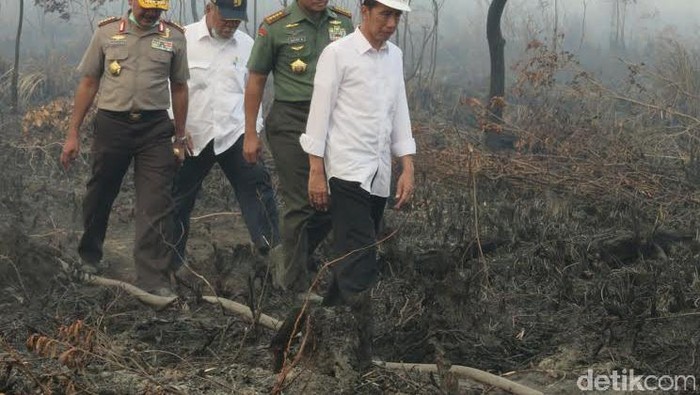 Jokowi akan Cabut Izin dan Pidanakan Perusahaan Pembakar Hutan