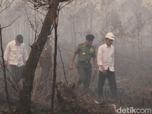 Jokowi Bingung Bencana Asap karena Pembakaran Lahan Terus Terulang