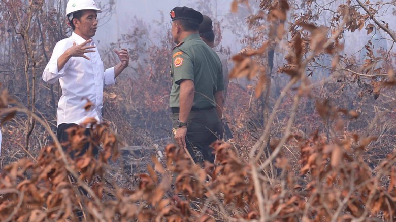 Saat Jokowi Masuki Lahan Kebakaran Hutan Tanpa Masker Saat Jokowi Masuki Lahan Kebakaran Hutan Tanpa Masker