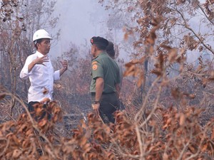 Akankah Sentuhan Jokowi Bisa Padamkan Api Musiman di Sumatera?