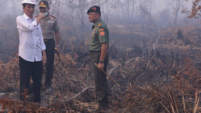 Elak Perusahaan Pembakar Hutan hingga Lolos dari Tuntutan Rp 1 Triliun