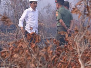 Jokowi Bicara Visi Indonesia Maju: 3 Tahun Terakhir Tak Ada Kebakaran Hutan