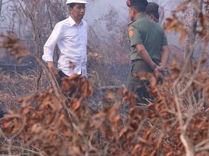 Jalan Panjang Menggugat Jokowi hingga Divonis Melawan Hukum di Kasus Karhutla